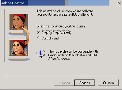   Adobe Gamma